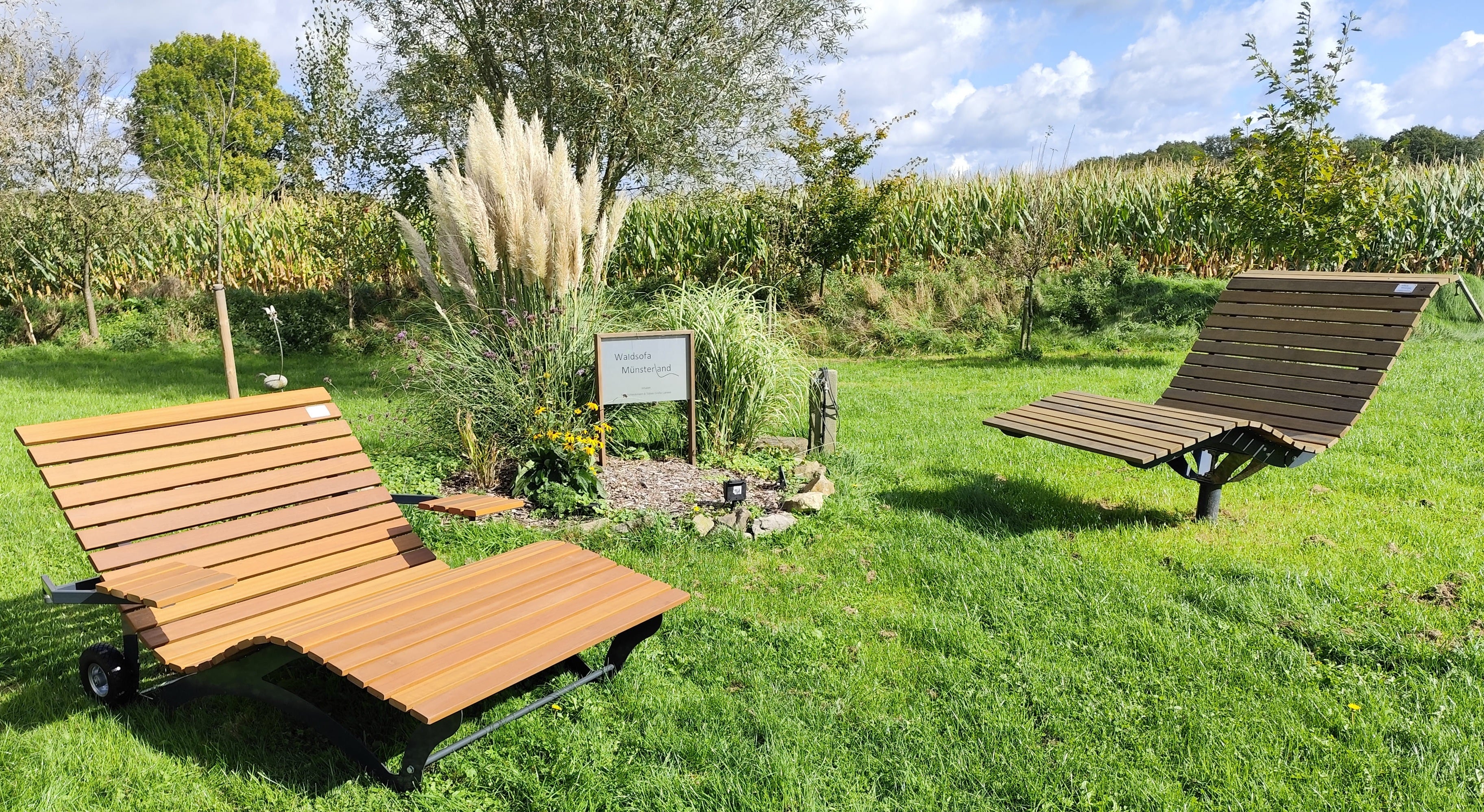 Zwei moderne, geschwungene Holzbänke auf einer grünen Wiese in einer ländlichen Umgebung. Im Hintergrund sind hohe Gräser, ein Baum und Maisfelder zu sehen. In der Mitte der Sitzfläche steht ein Schild mit der Aufschrift "Waldsofa Münsterland."